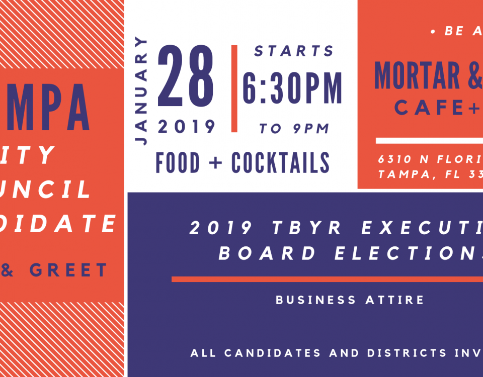 Tampa Bay City Council Elections 2019